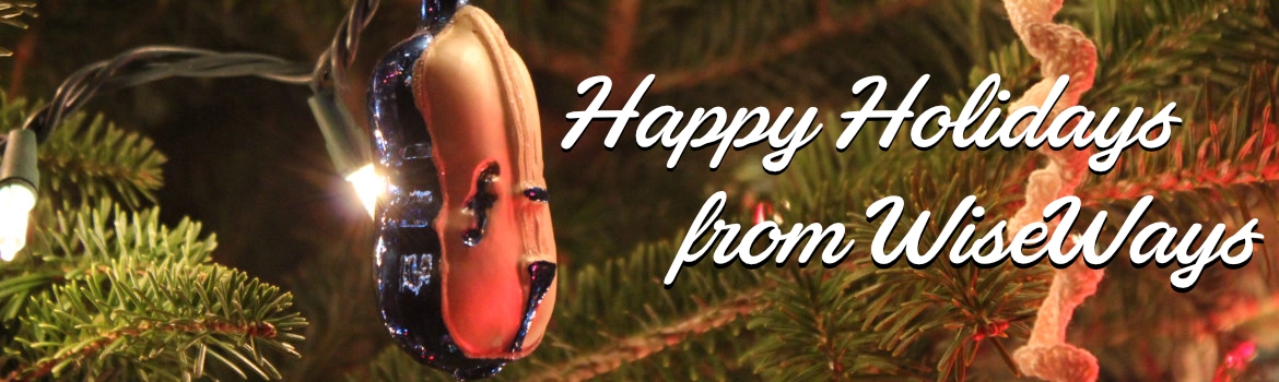 Wiseways Herbals: flowers & plants from our farm